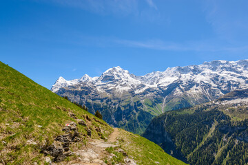 Obraz premium View of beautiful landscape in the Alps with fresh green meadows and snow-capped mountain tops in the background on a sunny day with blue sky and clouds in springtime.
