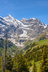 Fototapeta premium View of beautiful landscape in the Alps with fresh green meadows and snow-capped mountain tops in the background on a sunny day with blue sky and clouds in springtime.