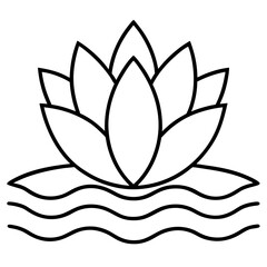 lotus flower on white background