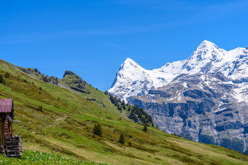 View of beautiful landscape in the Alps with fresh green meadows and snow-capped mountain tops in the background on a sunny day with blue sky and clouds in springtime.