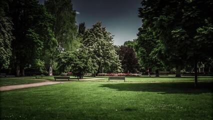 Serene Park Under a Bright Blue Sky - Nature and Environment Concept for Fresh Air and Outdoor Relaxation