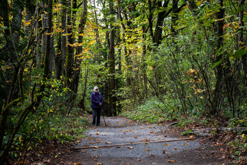 Obraz premium Senior woman with a walking stick getting fresh air on a gravel trail on a sunny fall day in the woods in Kirkland’s Watershed Park 