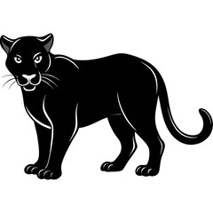 Obraz premium black and white cat