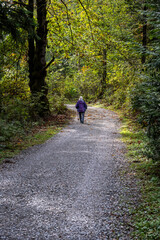 Fototapeta premium Senior woman with a walking stick getting fresh air on a gravel trail on a sunny fall day in the woods in Kirkland’s Watershed Park 