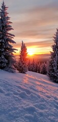 A breathtaking sunset illuminating frosted conifer trees in a tranquil winter landscape