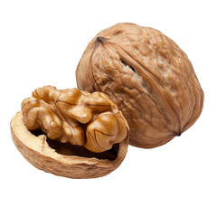 Walnuts with shell and nut on white transparent