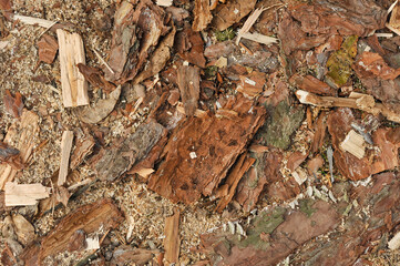 Background, texture of sawdust, shavings, pieces and chips of wood, boards, logs at a sawmill in the forest outdoors. Photograph, top view.