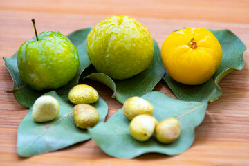 Ripe edible wild fruit from the Brazilian cerrado biome, fruit known as cagaita (Stenocalyx dysentericus) of the Magnoliopsida class and the Myrtaceae family.