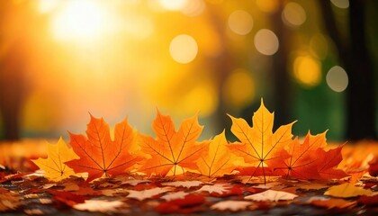  Orange maple leaves on the ground with a bokeh effect defocused background 