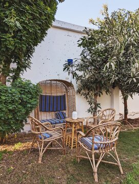 Chairs in the garden