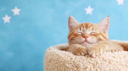Relaxing cat sleeping peacefully in cozy bed with soft blankets