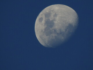 Obraz premium Moon at dusk in the blue sky