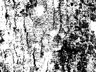 Fototapeta premium Grunge dirty background