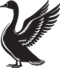 Black and White Image of a Duck: Graceful Simplicity in Monochrome