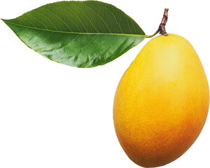 Ripe yellow mango with green leaf on transparent background