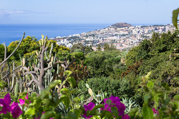 Beautiful view of the island and ocean on a summer day. Top view. Funchal. Madeira. Portugal.
