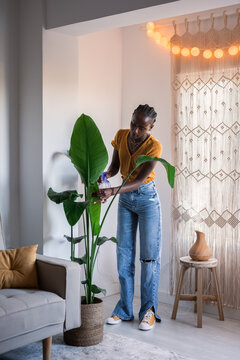 Woman taking care of plant