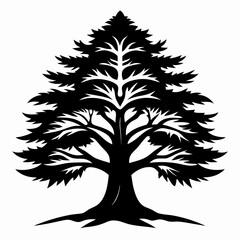 Obraz premium silhouette of a tree