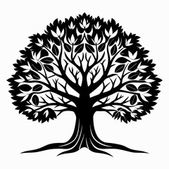 Obraz premium Black Trees and root with leaves look beautiful and refreshing