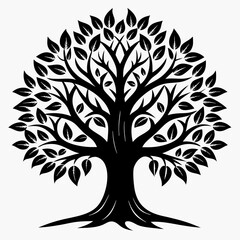 Obraz premium Black Trees and root with leaves look beautiful and refreshing