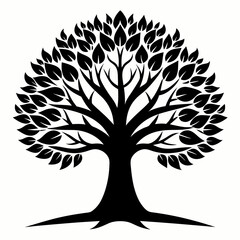 Obraz premium Black Trees and root with leaves look beautiful and refreshing
