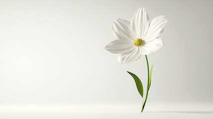 Obraz premium Stunning 3d flower render blossoming on white background picture