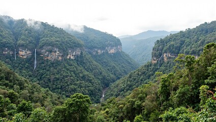 Tropical forest in Indian Western Ghats waterfalls mist overcast sky