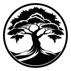 silhouette of a tree in a circle juniper tree black and white vector