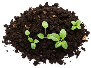 Naklejka premium Rich, dark fertile soil isolated on white background, nutrient, fertile ground, agriculture