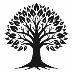 Obraz premium tree with roots linden tree black and white vector