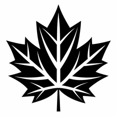 silhouette of leaf  maple leaf black and white vector 