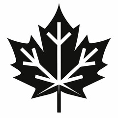 silhouette of leaf  maple leaf black and white vector 