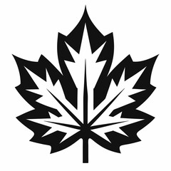 Fototapeta premium silhouette of leaf maple leaf black and white vector 