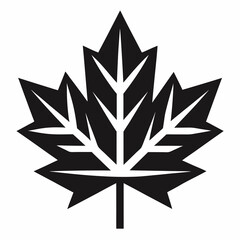 Obraz premium silhouette of leaf maple leaf black and white vector 