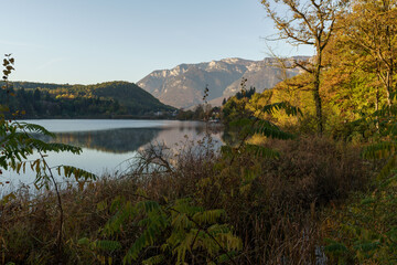 Obraz premium Forest landscape of Montiggl in Eppan in South Tyrol.