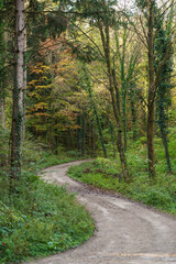 Forest landscape of Montiggl in Eppan in South Tyrol.