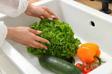 Woman with different fresh vegetables in sink, closeup
