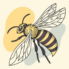 illustration of a bee