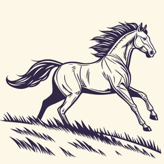 horse silhouette isolated on white