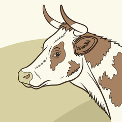 portrait of a cow