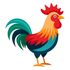 rooster isolated on white background