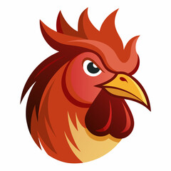 rooster isolated on white background