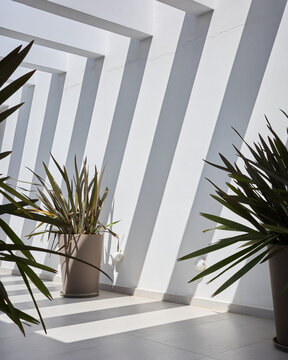 Shadows in the villa