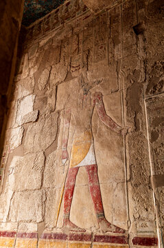Preserved Wall Carving, Hatsepsut Temple, Egypt