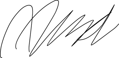 signature vector design in Doodle style. signature illustration