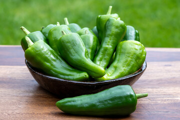 Padron green Spanish pepper or Herbón pepper landrace variety of pepper Capsicum annuum from  municipality of Padron in northwestern Spain