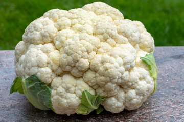 Healthy vegetarian food concept, raw cauliflower white cabbage ready for cooking