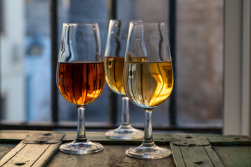 Sherry wine tasting, fino, olorosso, amontillado, cream jerez sherry fortified wine made from palomino white grape in bogedas in Jerez de la Frontera, Cadiz, Andalusia, Spain