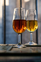 Sherry wine tasting, fino, olorosso, amontillado, cream jerez sherry fortified wine made from palomino white grape in bogedas in Jerez de la Frontera, Cadiz, Andalusia, Spain