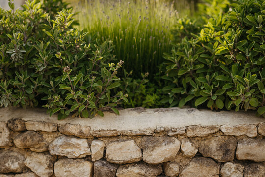 Stone wall with green shrubs on top